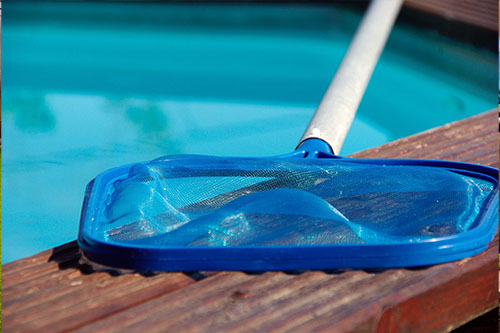 Photo of net for cleaning pools